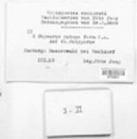 Physarum nutans image